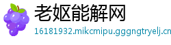 老妪能解网